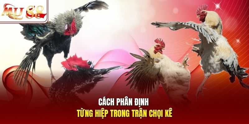 Cách phân định từng hiệp trong trận chọi kê