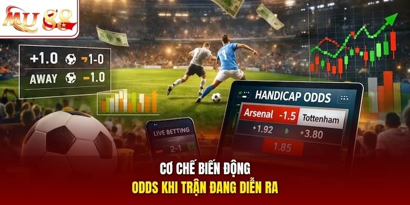 Cơ chế biến động odds khi trận đang diễn ra