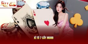 Xì Tố 7 Cây